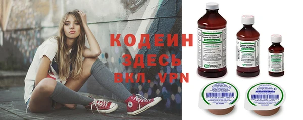 хмурый Пересвет