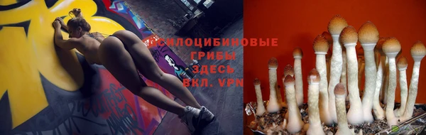дурь Пестово