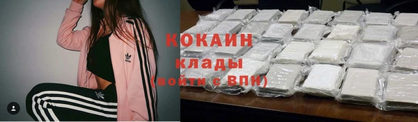 хмурый Пересвет