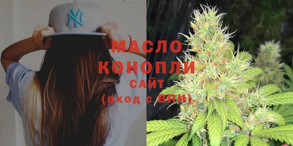 хмурый Пересвет
