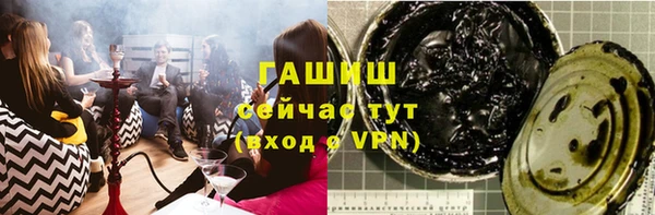 хмурый Пересвет